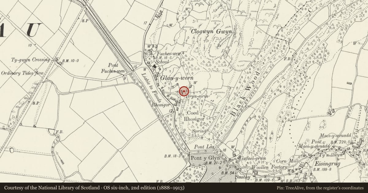 Ordnance Survey six-inch map, 2nd edition (1888–1913) covering the location of Rhosigor, Talsarnau, Gwynedd, with a pin at the register's coordinates