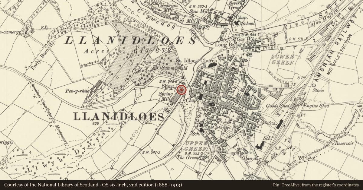 Ordnance Survey six-inch map, 2nd edition (1888–1913) covering the location of Brynhafren, Llanidloes, Powys, with a pin at the register's coordinates
