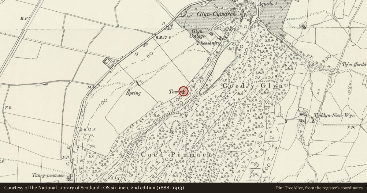 Ordnance Survey six-inch map, 2nd edition (1888–1913) covering the location of Tower at Glyn Cywarch, Talsarnau, Gwynedd, with a pin at the register's coordinates