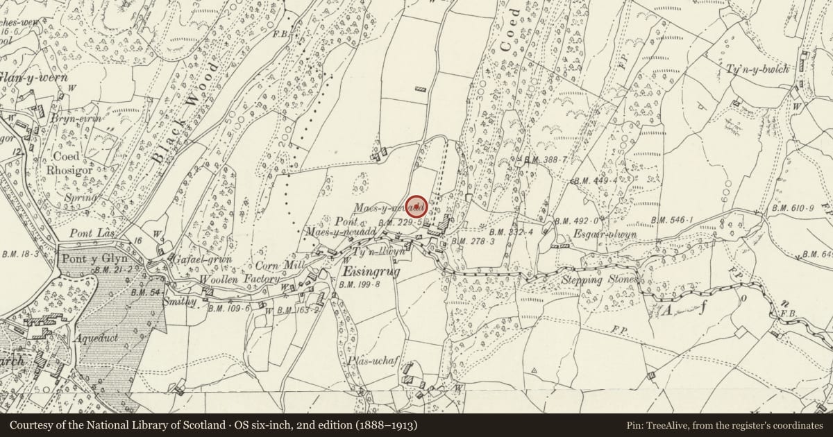 Ordnance Survey six-inch map, 2nd edition (1888–1913) covering the location of Walled gardens at Maes-y-neuadd, Talsarnau, Gwynedd, with a pin at the register's coordinates