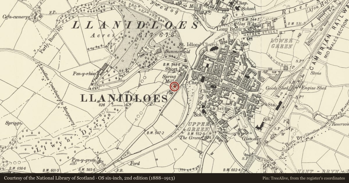 Ordnance Survey six-inch map, 2nd edition (1888–1913) covering the location of Huntsman's Cottage, Llanidloes, Powys, with a pin at the register's coordinates