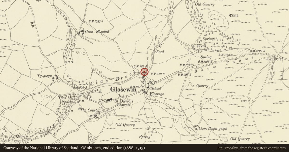 Ordnance Survey six-inch map, 2nd edition (1888–1913) covering the location of Brookside, Glascwm, Powys, with a pin at the register's coordinates