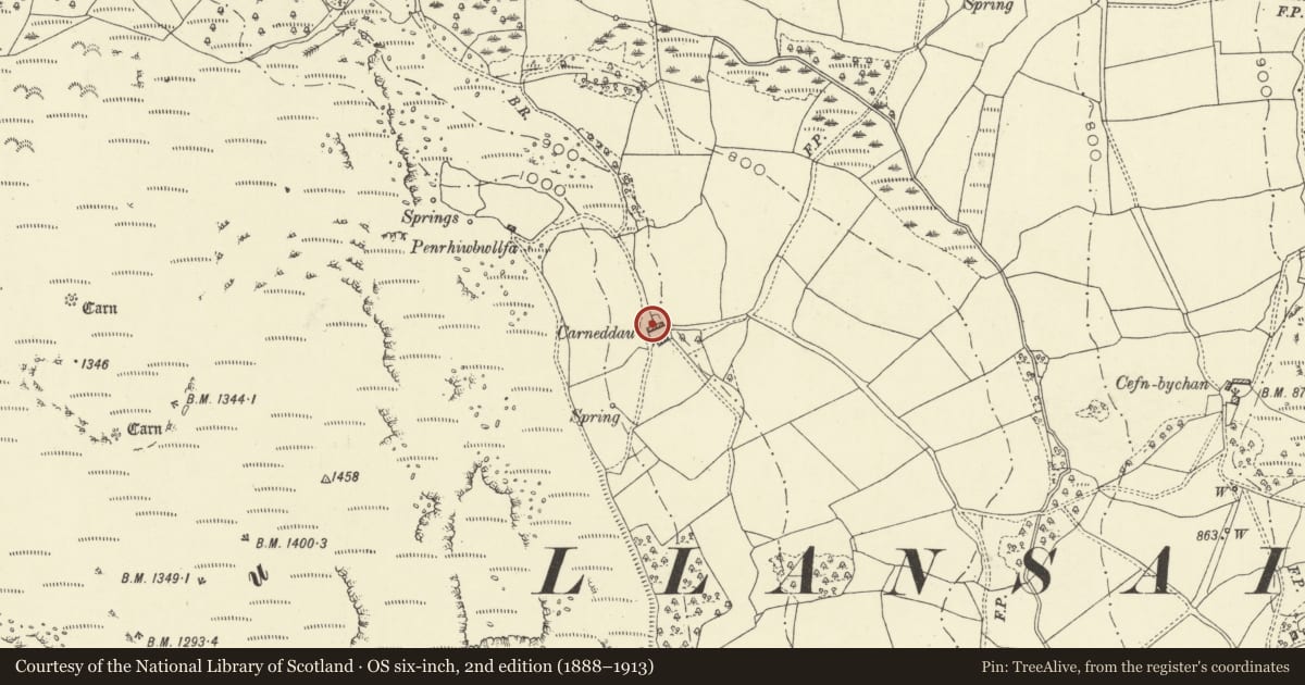 Ordnance Survey six-inch map, 2nd edition (1888–1913) covering the location of Carneddau, including attached cow house, Glascwm, Powys, with a pin at the register's coordinates