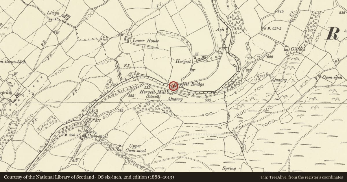 Ordnance Survey six-inch map, 2nd edition (1888–1913) covering the location of Hergest Bridge (partly in Aberedw Community), Glascwm, Powys, with a pin at the register's coordinates