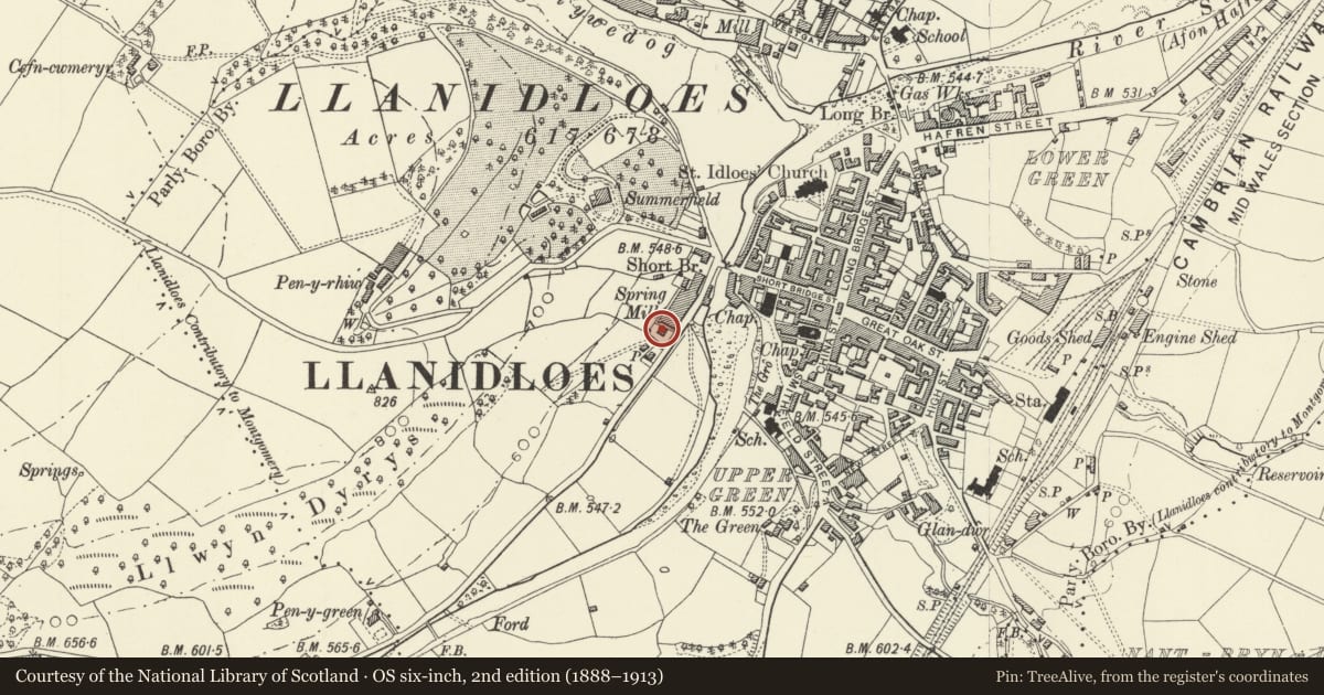 Ordnance Survey six-inch map, 2nd edition (1888–1913) covering the location of Minffordd, Llanidloes, Powys, with a pin at the register's coordinates
