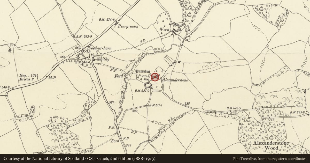 Ordnance Survey six-inch map, 2nd edition (1888–1913) covering the location of Alexanderstone, Llanddew, Powys, with a pin at the register's coordinates