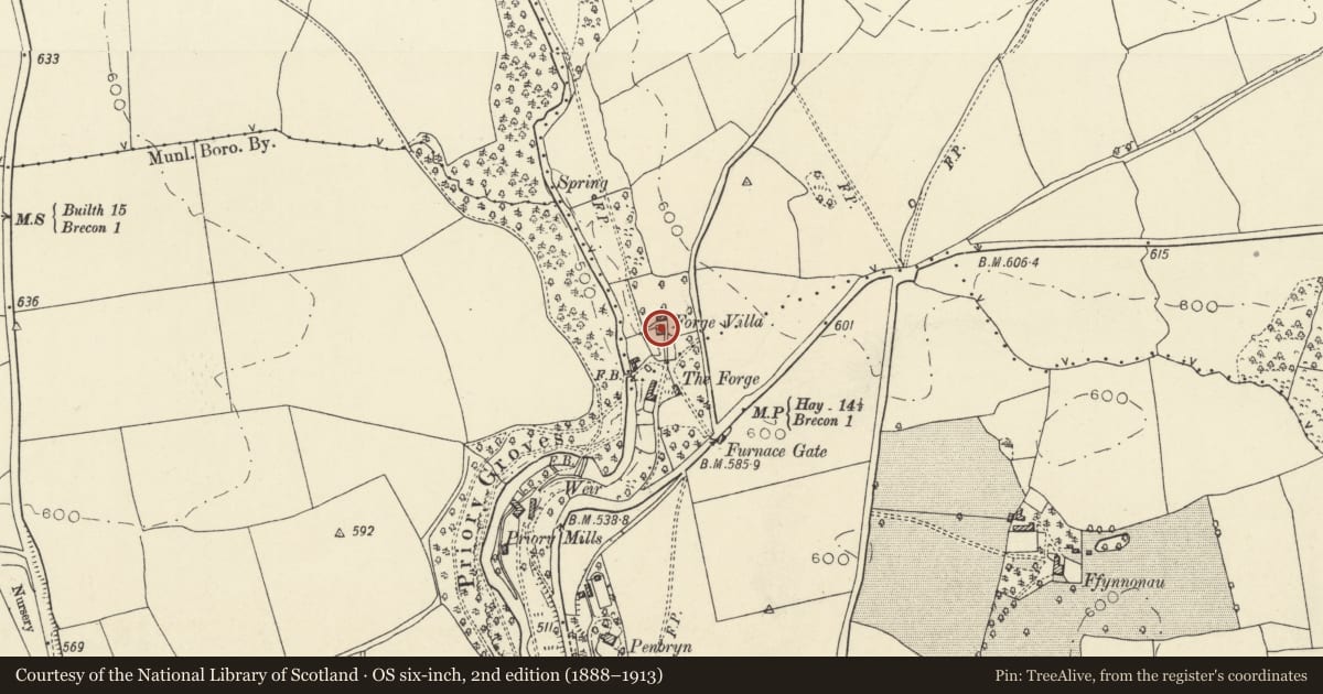 Ordnance Survey six-inch map, 2nd edition (1888–1913) covering the location of Forge House, Llanddew, Powys, with a pin at the register's coordinates