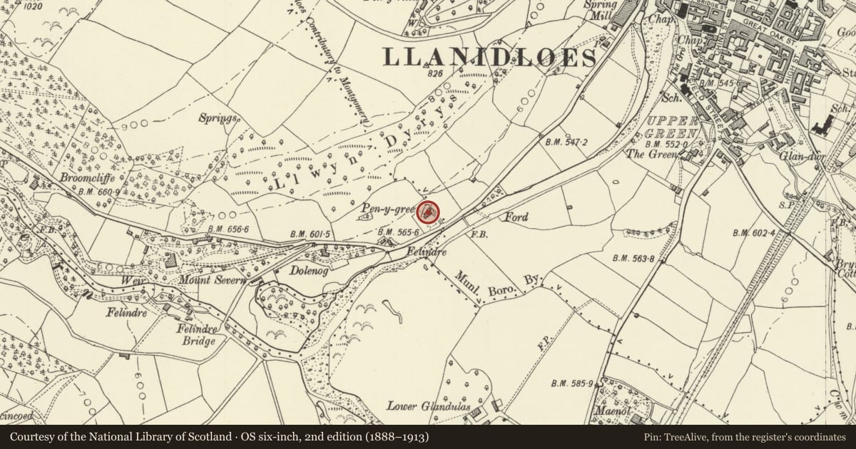 Ordnance Survey six-inch map, 2nd edition (1888–1913) covering the location of The Friary, Llanidloes, Powys, with a pin at the register's coordinates