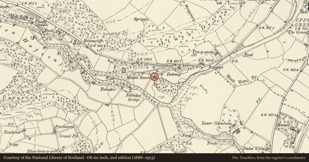 Ordnance Survey six-inch map, 2nd edition (1888–1913) covering the location of Former Stables and Coach-house at Dolenog, Llanidloes, Powys, with a pin at the register's coordinates