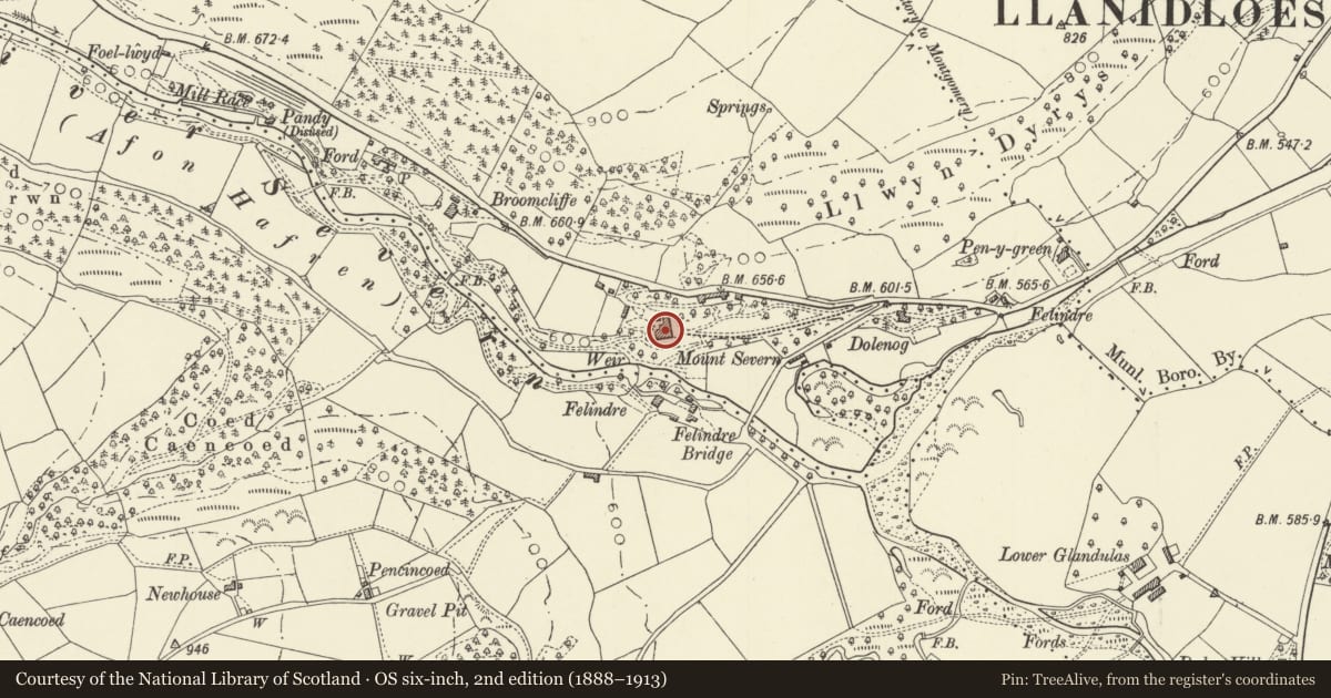 Ordnance Survey six-inch map, 2nd edition (1888–1913) covering the location of Mount Severn, Llanidloes, Powys, with a pin at the register's coordinates