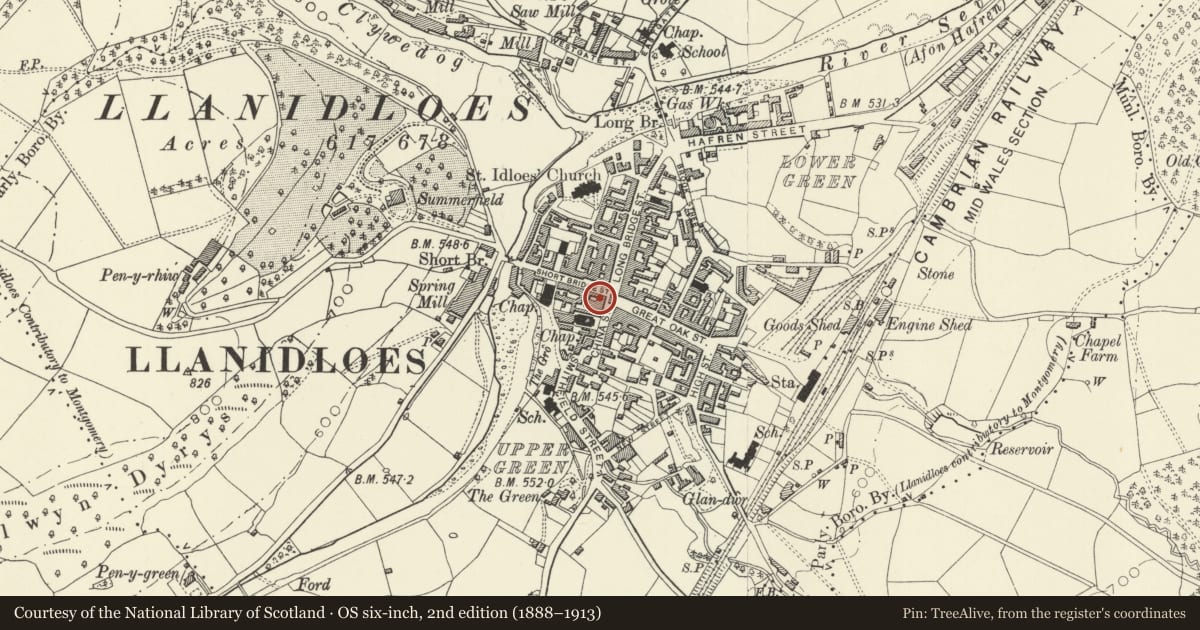 Ordnance Survey six-inch map, 2nd edition (1888–1913) covering the location of W.Henry Price, Llanidloes, Powys, with a pin at the register's coordinates