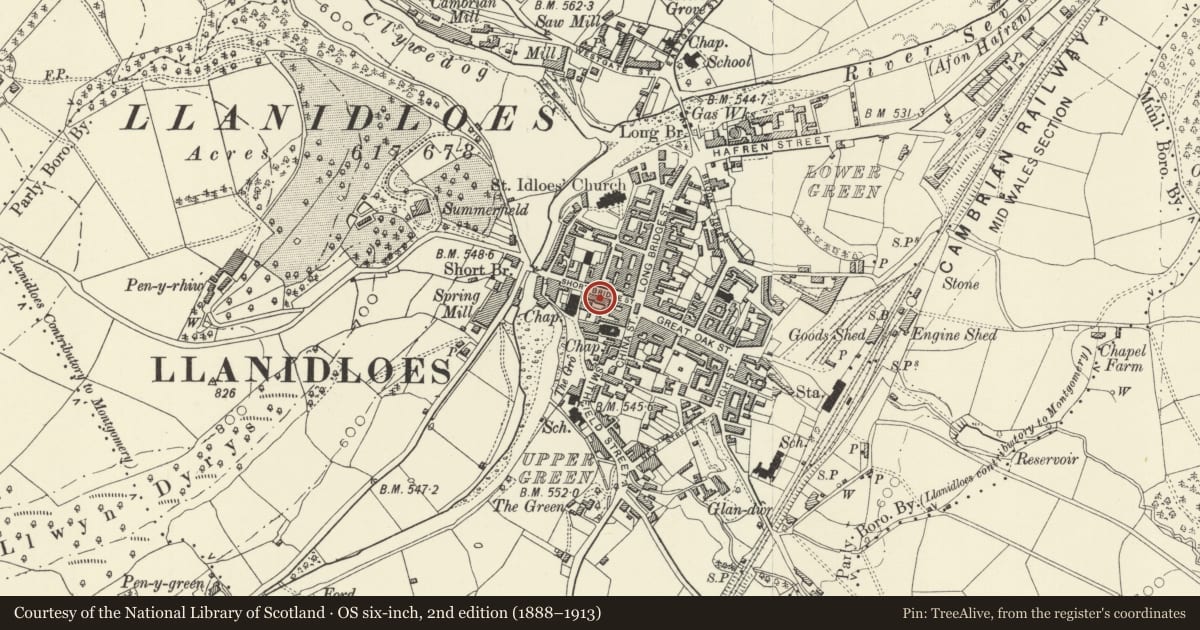 Ordnance Survey six-inch map, 2nd edition (1888–1913) covering the location of Royal Head P.H., Llanidloes, Powys, with a pin at the register's coordinates