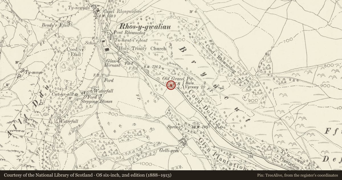 Ordnance Survey six-inch map, 2nd edition (1888–1913) covering the location of Milestone, Llangywer, Gwynedd, with a pin at the register's coordinates