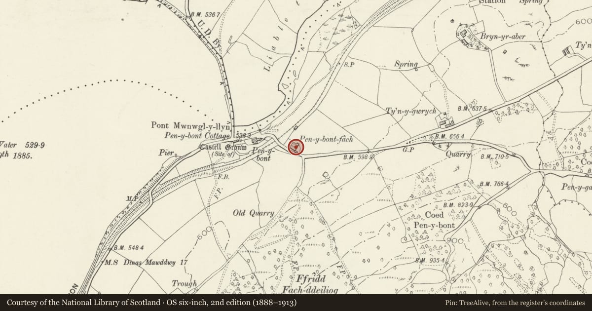 Ordnance Survey six-inch map, 2nd edition (1888–1913) covering the location of Agricultural range, Pen-y-bont, Llangywer, Gwynedd, with a pin at the register's coordinates