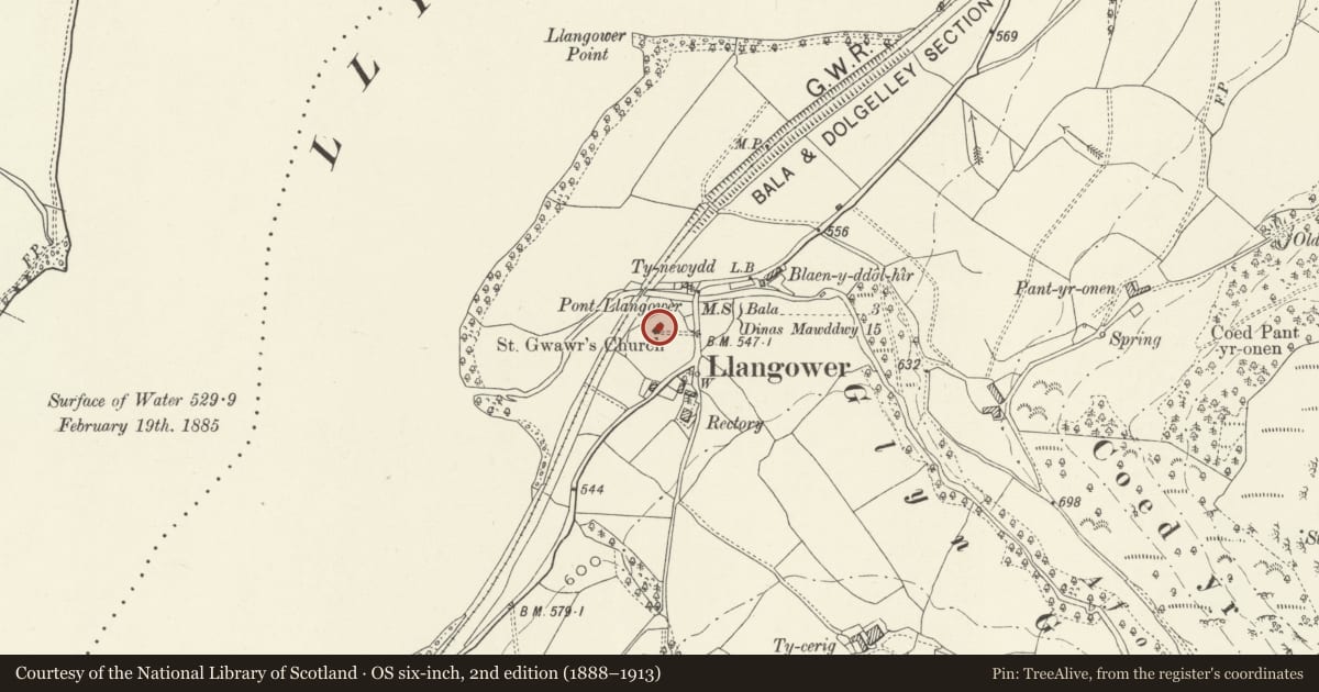 Ordnance Survey six-inch map, 2nd edition (1888–1913) covering the location of Church of St. Gwawr, Llangywer, Gwynedd, with a pin at the register's coordinates