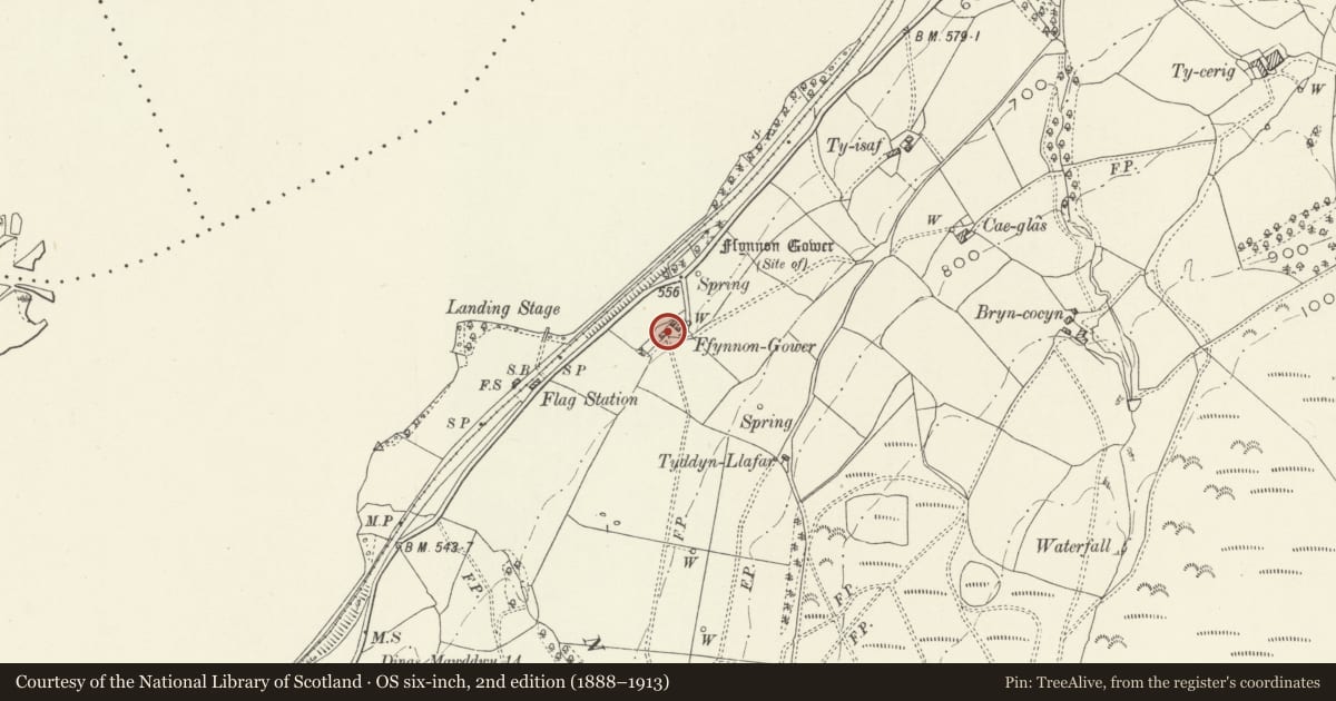 Ordnance Survey six-inch map, 2nd edition (1888–1913) covering the location of Ffynnongower, Llangywer, Gwynedd, with a pin at the register's coordinates
