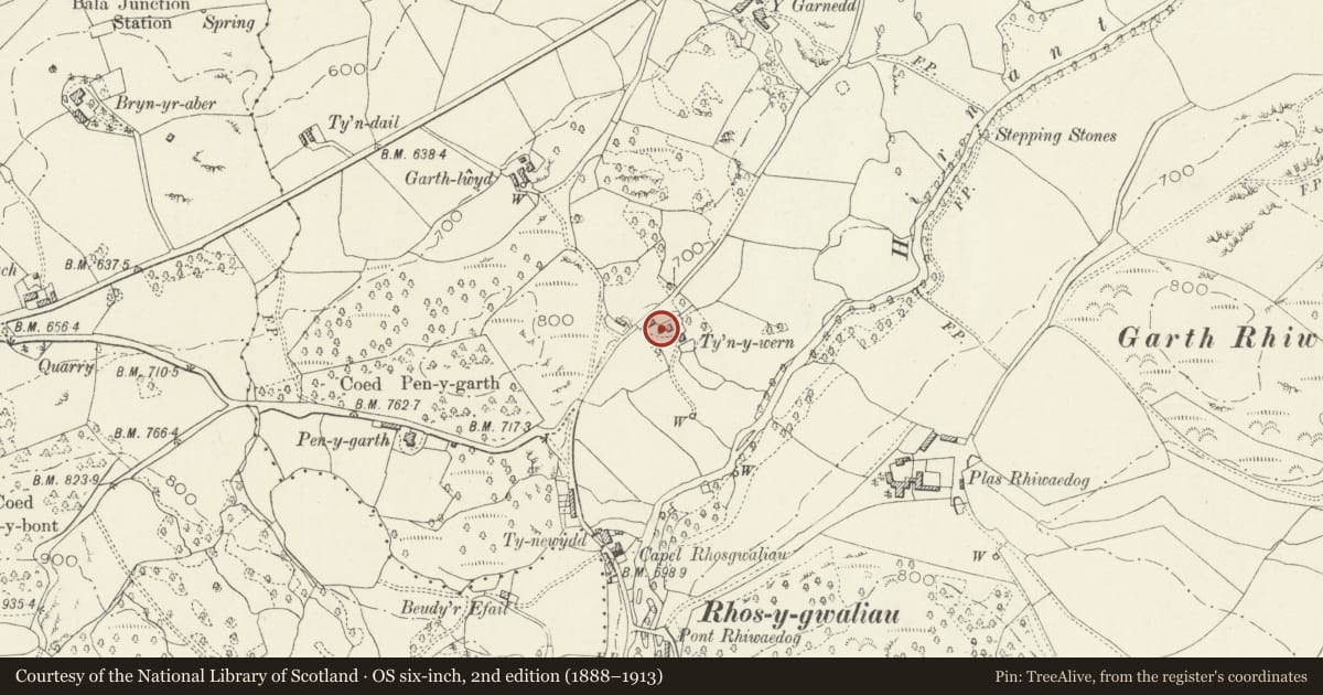 Ordnance Survey six-inch map, 2nd edition (1888–1913) covering the location of Pigsty at Ty'n-y-wern, Llangywer, Gwynedd, with a pin at the register's coordinates