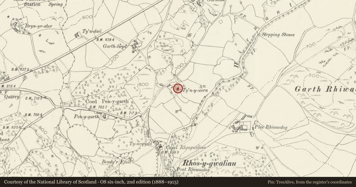Ordnance Survey six-inch map, 2nd edition (1888–1913) covering the location of Ty'n-y-wern, Llangywer, Gwynedd, with a pin at the register's coordinates
