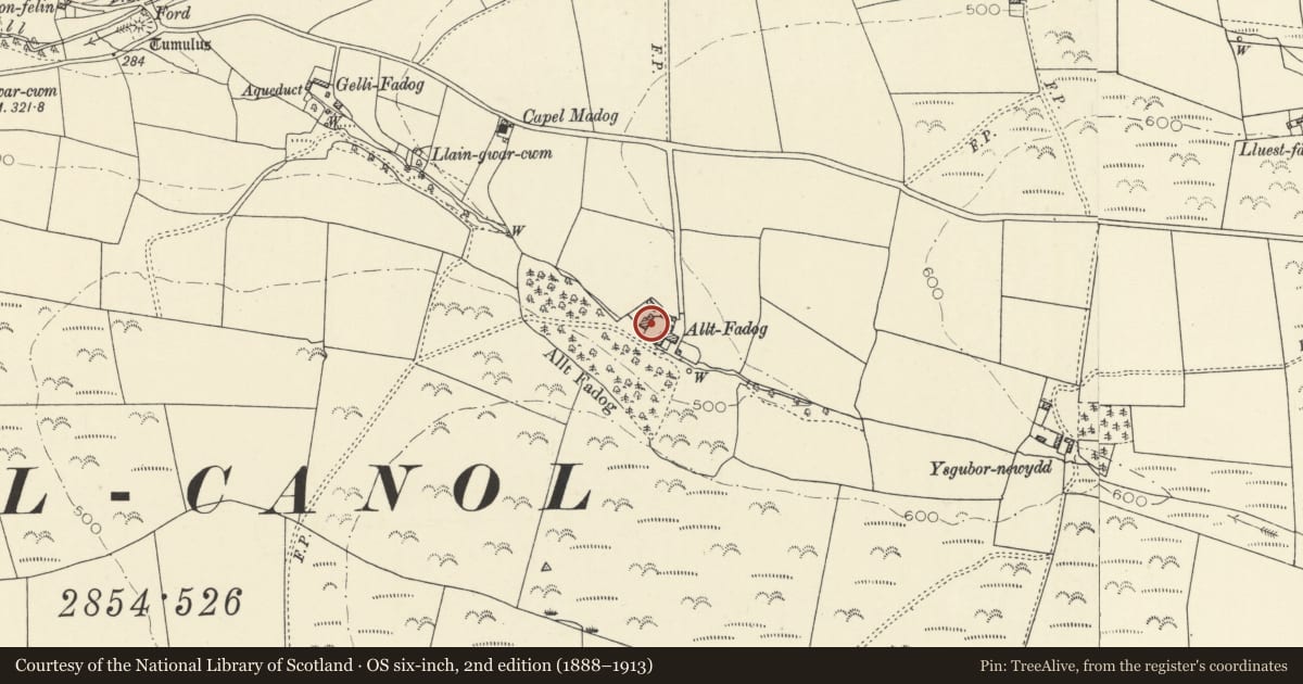 Ordnance Survey six-inch map, 2nd edition (1888–1913) covering the location of Barn and lofted stable at Alltfadog, Trefeurig, Ceredigion, with a pin at the register's coordinates