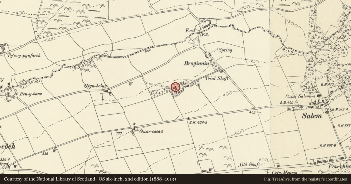Ordnance Survey six-inch map, 2nd edition (1888–1913) covering the location of Brogynin Fawr, Trefeurig, Ceredigion, with a pin at the register's coordinates