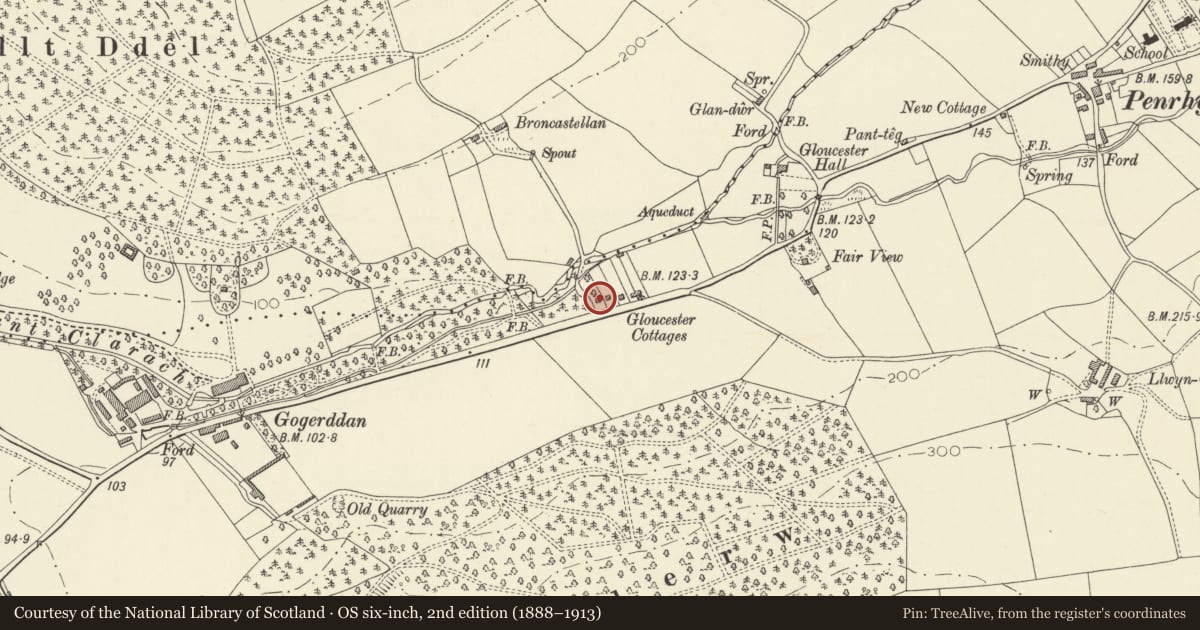 Ordnance Survey six-inch map, 2nd edition (1888–1913) covering the location of Court Villa, Trefeurig, Ceredigion, with a pin at the register's coordinates