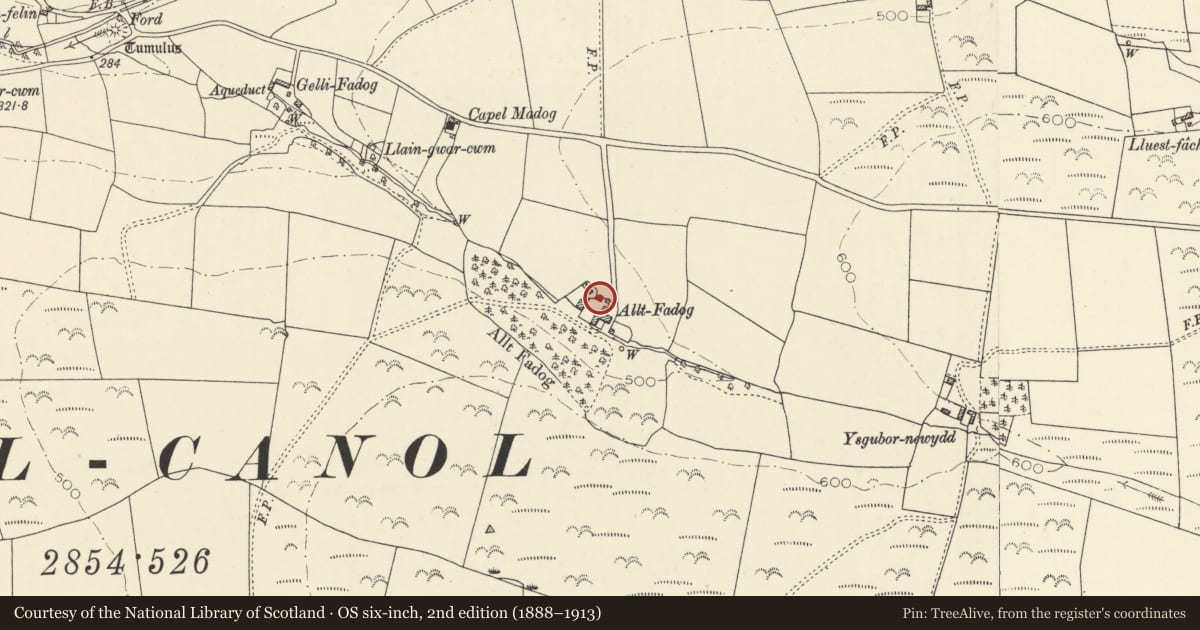 Ordnance Survey six-inch map, 2nd edition (1888–1913) covering the location of Open-bay shed at Alltfadog, Trefeurig, Ceredigion, with a pin at the register's coordinates