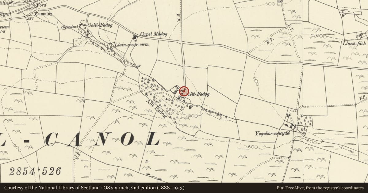 Ordnance Survey six-inch map, 2nd edition (1888–1913) covering the location of Pigsties at Alltfadog, Trefeurig, Ceredigion, with a pin at the register's coordinates
