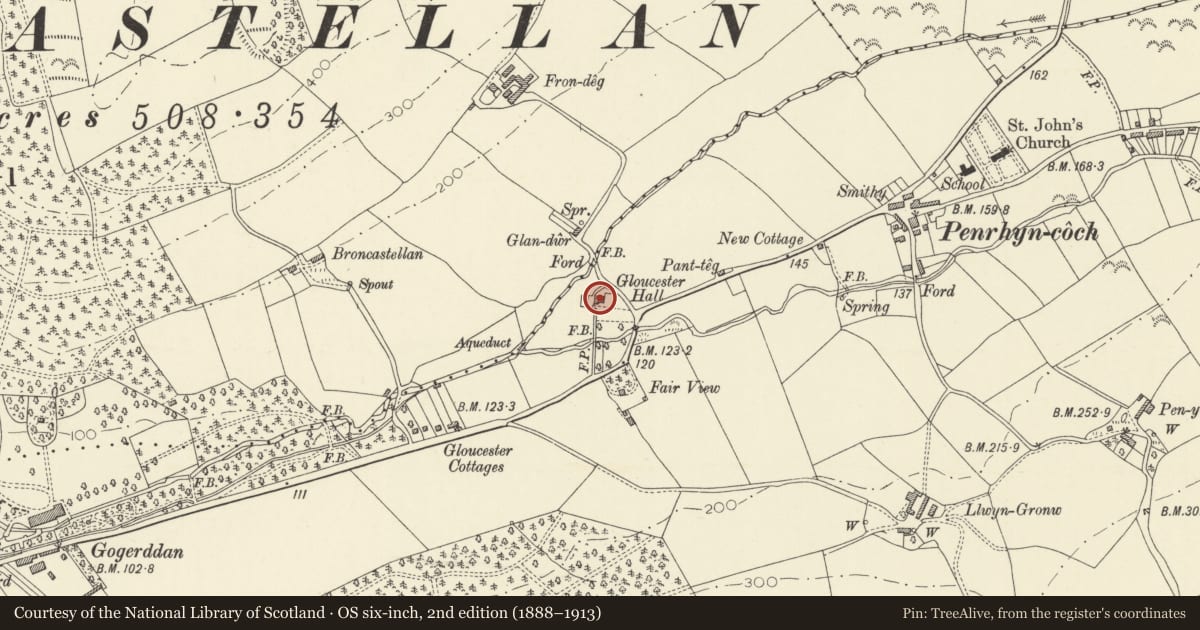 Ordnance Survey six-inch map, 2nd edition (1888–1913) covering the location of Plas Gwyn, Trefeurig, Ceredigion, with a pin at the register's coordinates