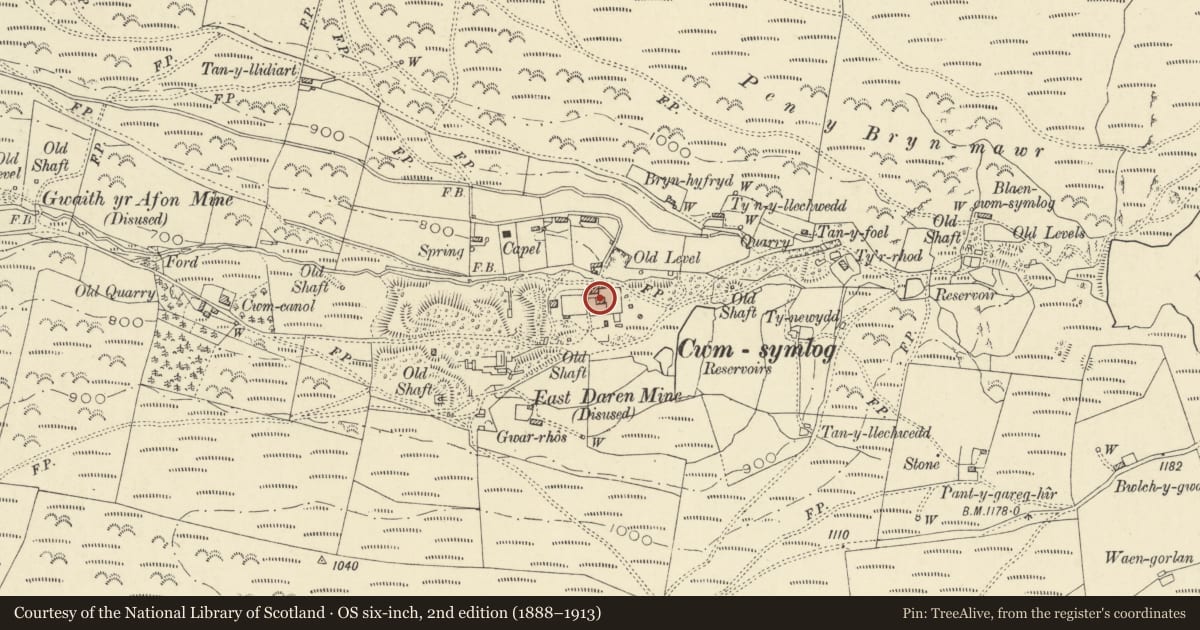 Ordnance Survey six-inch map, 2nd edition (1888–1913) covering the location of Plas Wigwam, Trefeurig, Ceredigion, with a pin at the register's coordinates