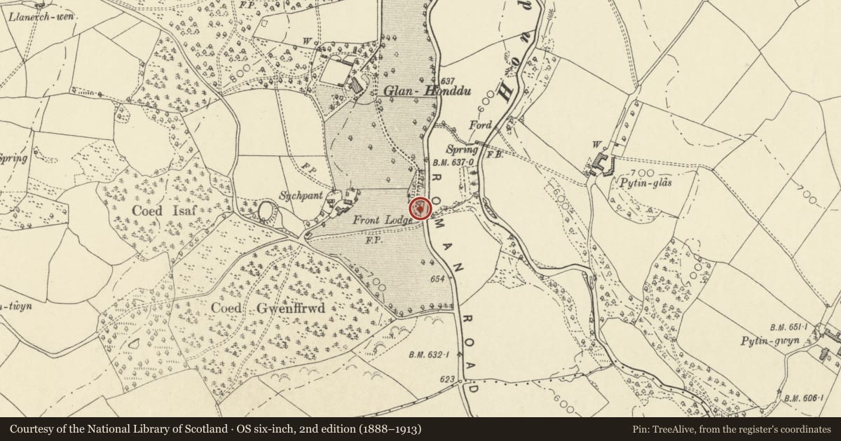 Ordnance Survey six-inch map, 2nd edition (1888–1913) covering the location of Lodge to Glan-Honddu, Honddu Isaf, Powys, with a pin at the register's coordinates