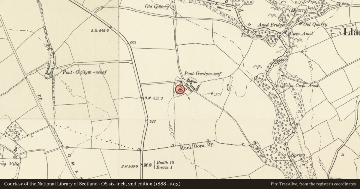 Ordnance Survey six-inch map, 2nd edition (1888–1913) covering the location of Lower Pontgwilym, Honddu Isaf, Powys, with a pin at the register's coordinates