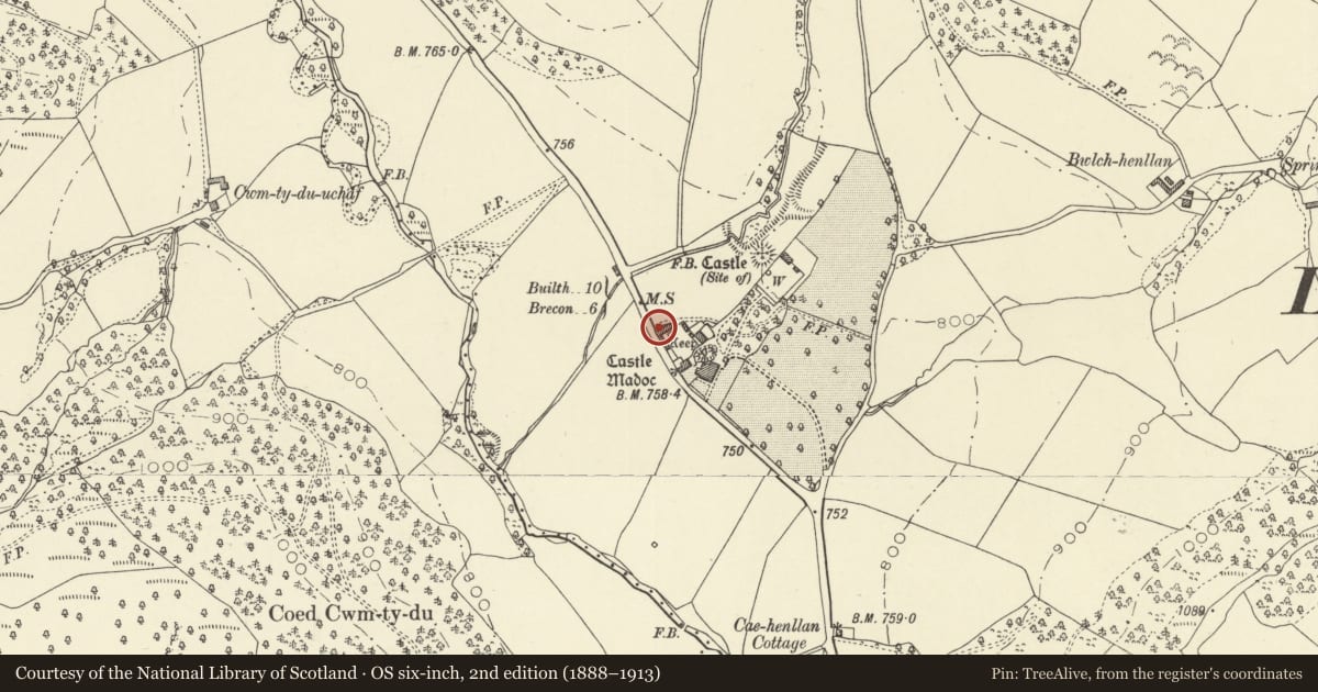 Ordnance Survey six-inch map, 2nd edition (1888–1913) covering the location of Milestone near Castell Madoc, Honddu Isaf, Powys, with a pin at the register's coordinates