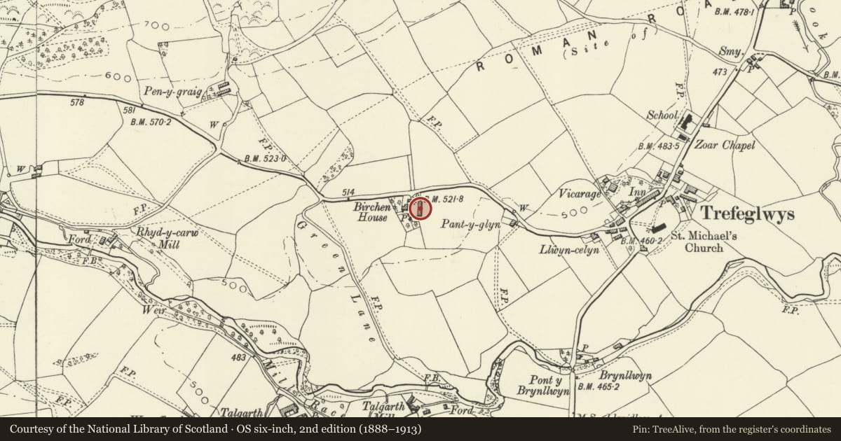 Ordnance Survey six-inch map, 2nd edition (1888–1913) covering the location of Barn at Birchen House, Trefeglwys, Powys, with a pin at the register's coordinates