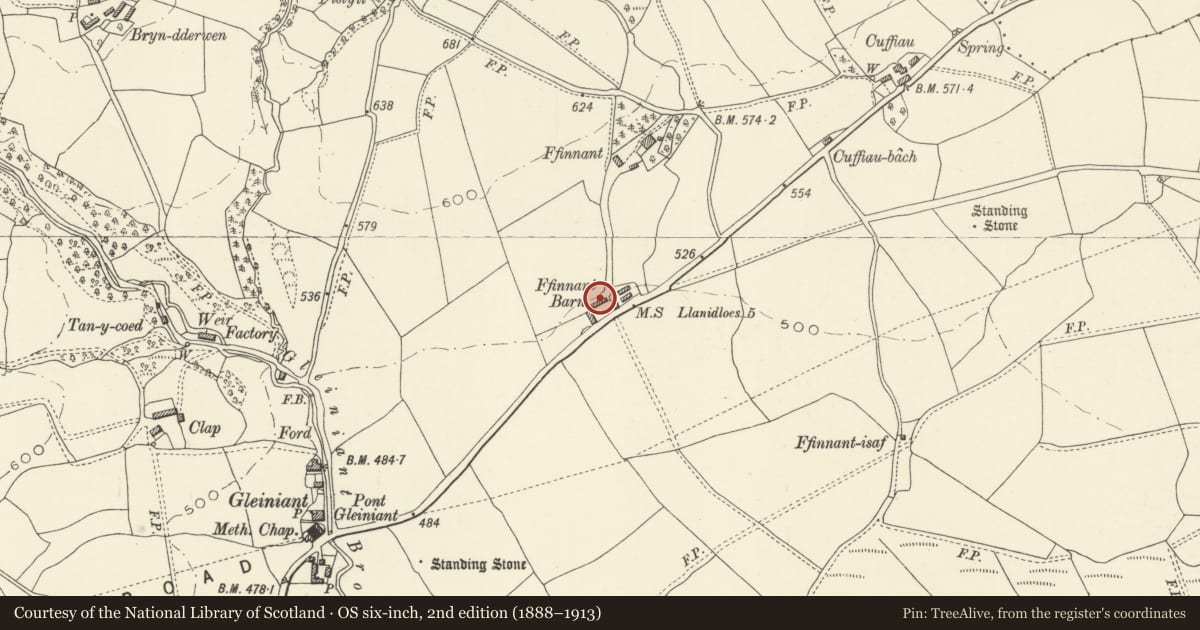 Ordnance Survey six-inch map, 2nd edition (1888–1913) covering the location of Barn at Ffinnant, Trefeglwys, Powys, with a pin at the register's coordinates