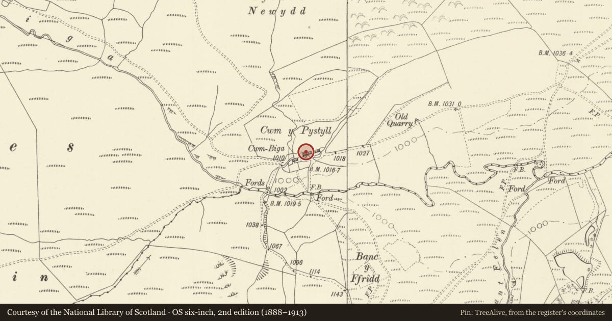 Ordnance Survey six-inch map, 2nd edition (1888–1913) covering the location of Barn, stable, cart-shed & peat store at Cwm Biga, Trefeglwys, Powys, with a pin at the register's coordinates