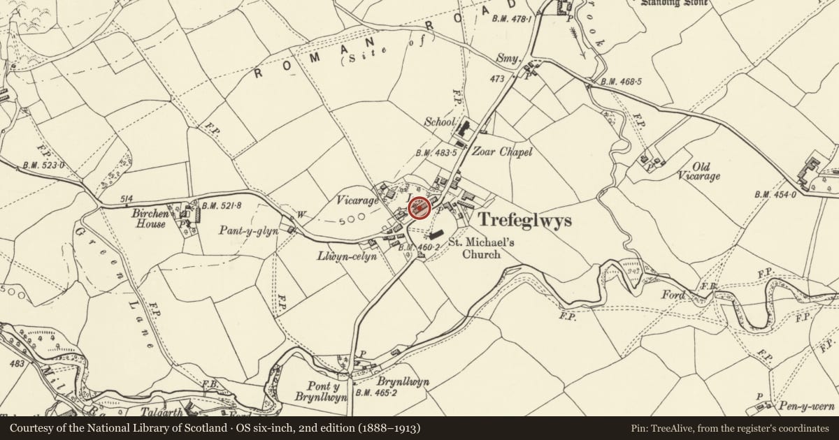 Ordnance Survey six-inch map, 2nd edition (1888–1913) covering the location of Belle Vue, Trefeglwys, Powys, with a pin at the register's coordinates