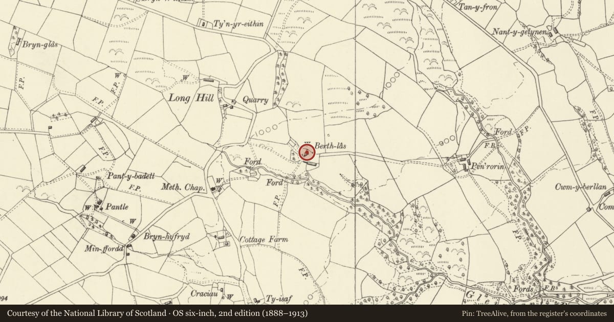 Ordnance Survey six-inch map, 2nd edition (1888–1913) covering the location of Berth las, Trefeglwys, Powys, with a pin at the register's coordinates