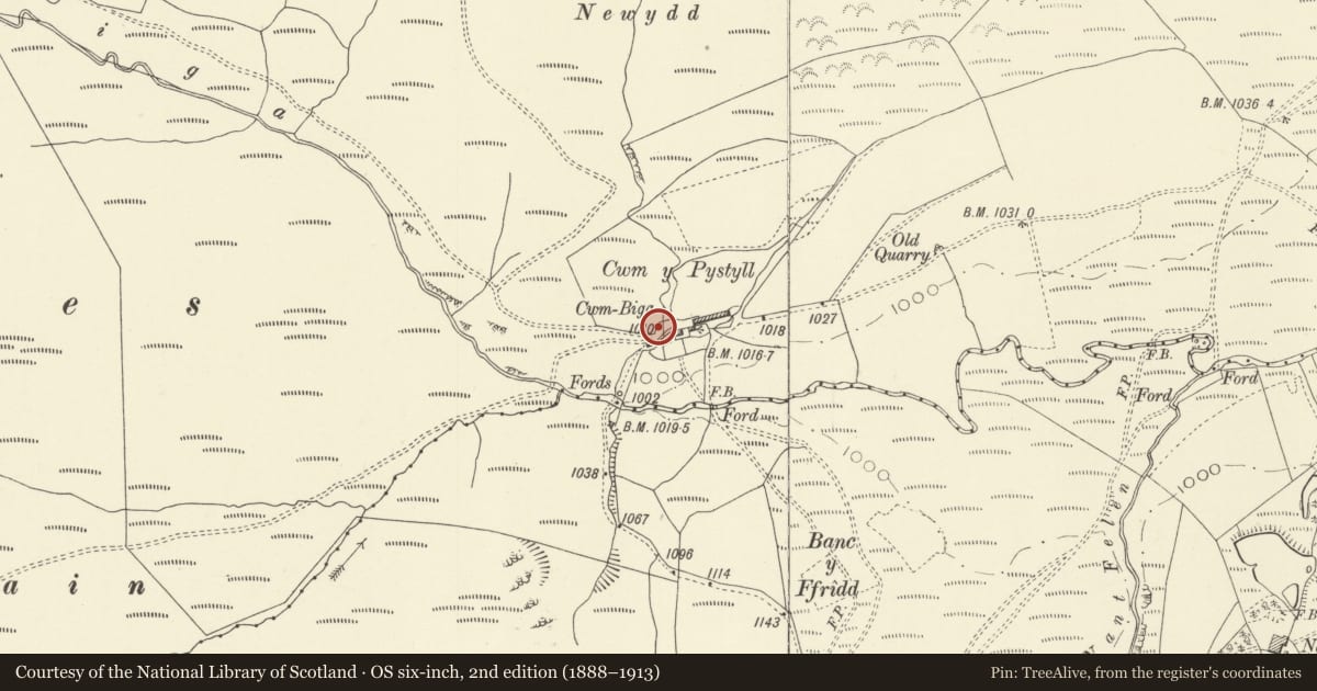 Ordnance Survey six-inch map, 2nd edition (1888–1913) covering the location of Cwm Biga, Trefeglwys, Powys, with a pin at the register's coordinates