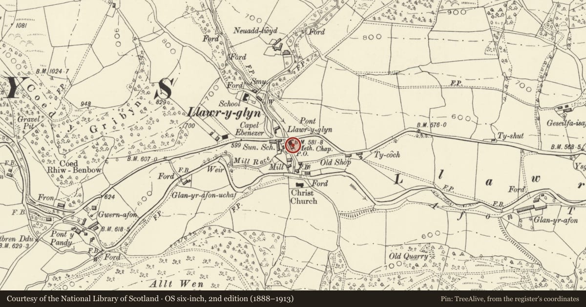 Ordnance Survey six-inch map, 2nd edition (1888–1913) covering the location of Glandwr, Trefeglwys, Powys, with a pin at the register's coordinates