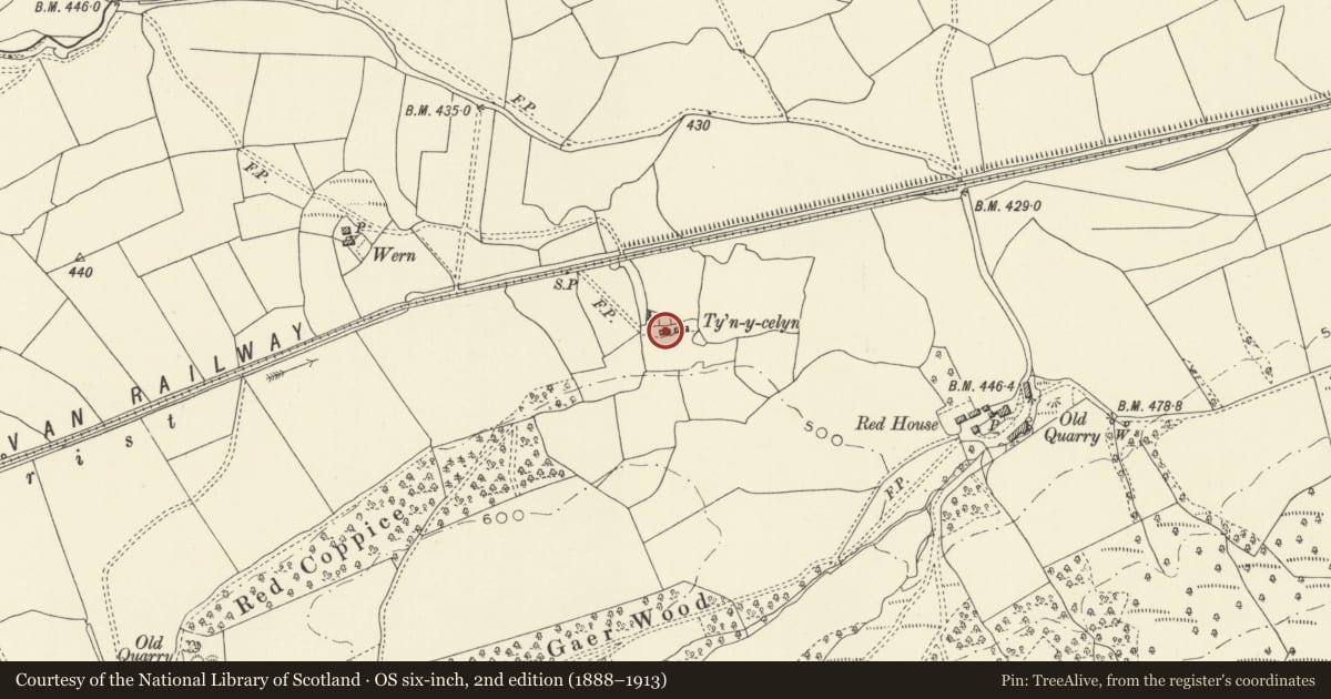 Ordnance Survey six-inch map, 2nd edition (1888–1913) covering the location of Gwaelod, Trefeglwys, Powys, with a pin at the register's coordinates