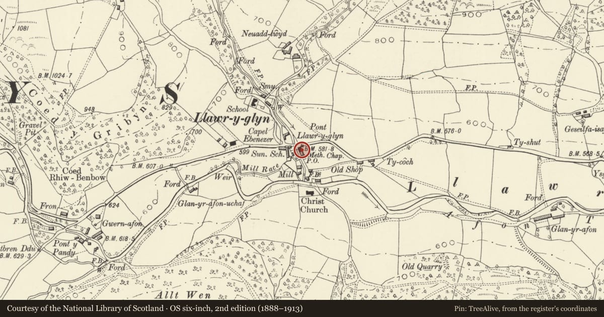 Ordnance Survey six-inch map, 2nd edition (1888–1913) covering the location of Min y Nant, Trefeglwys, Powys, with a pin at the register's coordinates