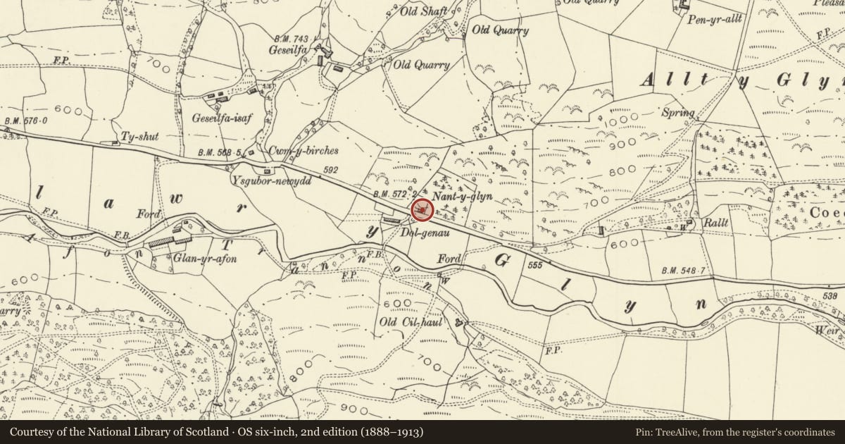 Ordnance Survey six-inch map, 2nd edition (1888–1913) covering the location of Nant y Glyn, Trefeglwys, Powys, with a pin at the register's coordinates