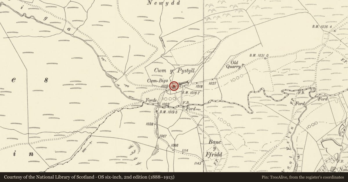 Ordnance Survey six-inch map, 2nd edition (1888–1913) covering the location of Pig Sty at Cwm Biga, Trefeglwys, Powys, with a pin at the register's coordinates