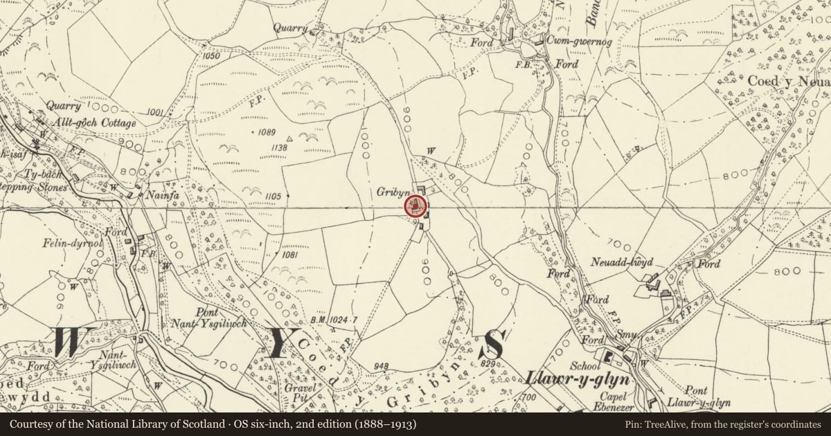 Ordnance Survey six-inch map, 2nd edition (1888–1913) covering the location of Y Gribyn, Trefeglwys, Powys, with a pin at the register's coordinates