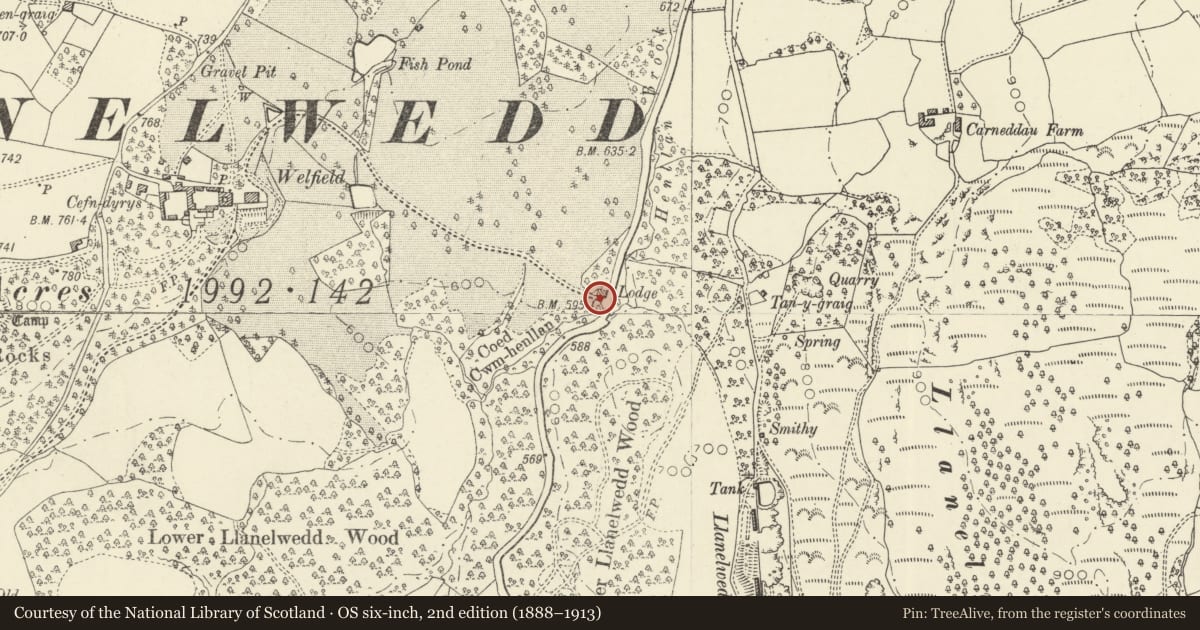 Ordnance Survey six-inch map, 2nd edition (1888–1913) covering the location of Gate piers and attached walls at entrance to Cefndyrys, Llanelwedd, Powys, with a pin at the register's coordinates