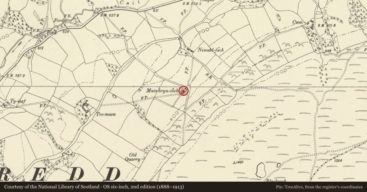 Ordnance Survey six-inch map, 2nd edition (1888–1913) covering the location of Maesbryncoch, Llanelwedd, Powys, with a pin at the register's coordinates