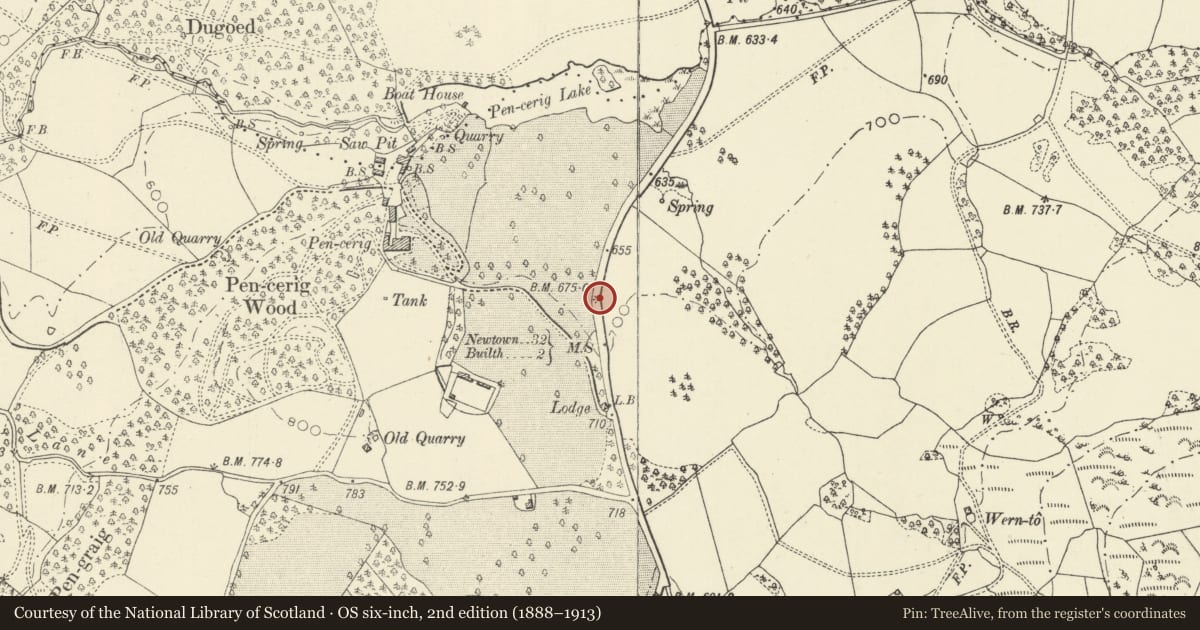 Ordnance Survey six-inch map, 2nd edition (1888–1913) covering the location of Milestone on A483, Llanelwedd, Powys, with a pin at the register's coordinates