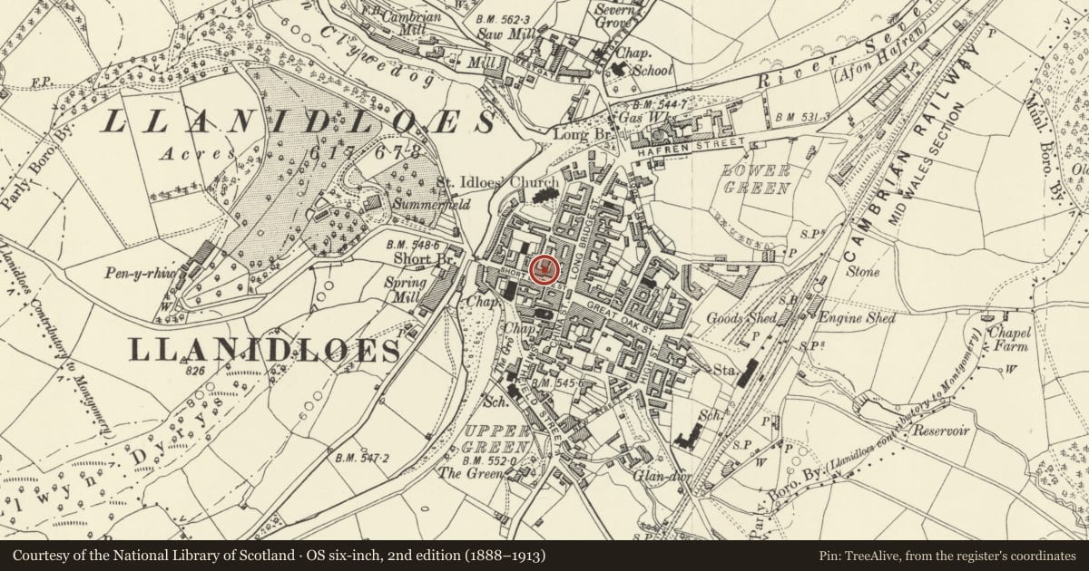 Ordnance Survey six-inch map, 2nd edition (1888–1913) covering the location of 29 Short Bridge Street, Llanidloes, Powys, with a pin at the register's coordinates
