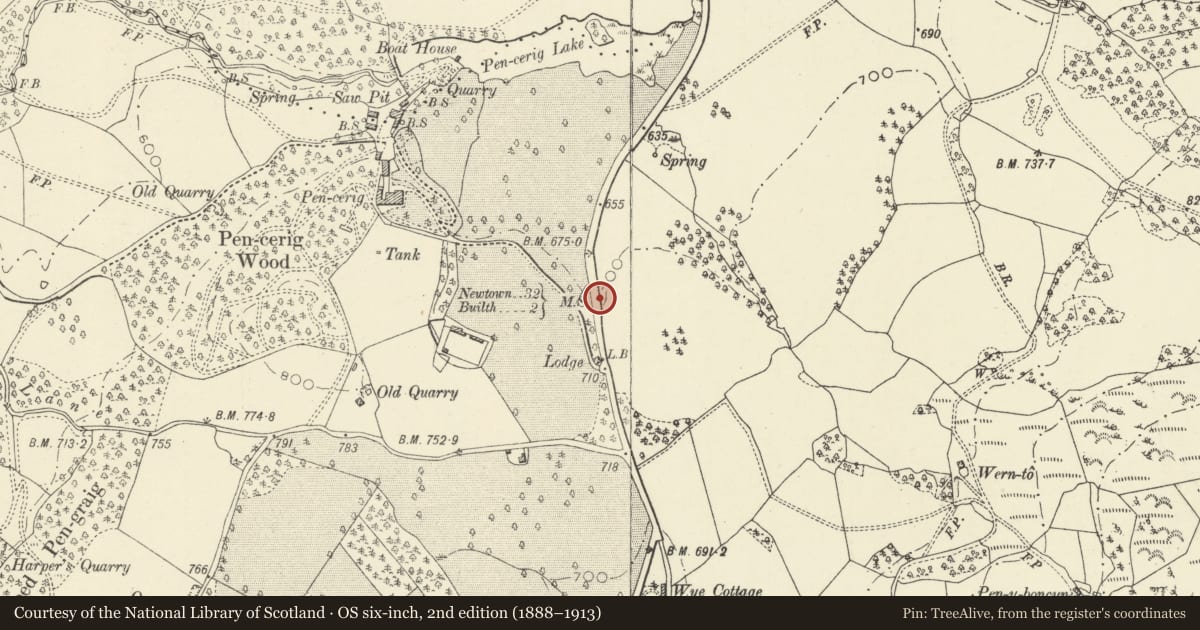 Ordnance Survey six-inch map, 2nd edition (1888–1913) covering the location of Milestone on A483, Llanelwedd, Powys, with a pin at the register's coordinates