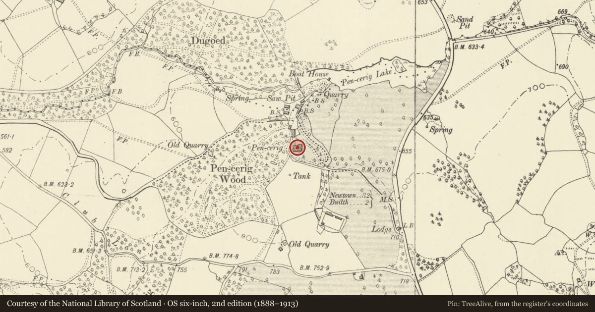 Ordnance Survey six-inch map, 2nd edition (1888–1913) covering the location of Pencerrig Gardens Hotel, Llanelwedd, Powys, with a pin at the register's coordinates